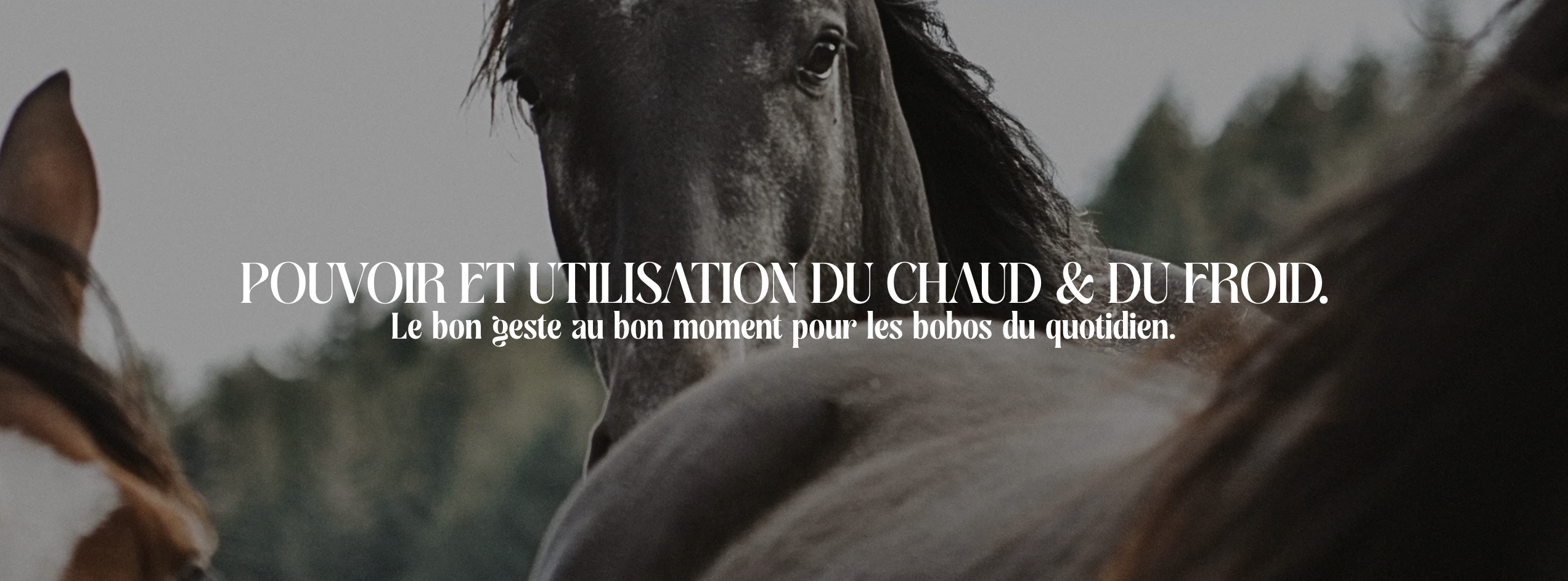 Webinaire / Pouvoir et utilisation du chaud et du froid
